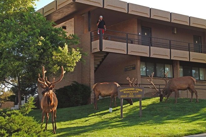 Kachina Lodge Grand Canyon Exteriér fotografie